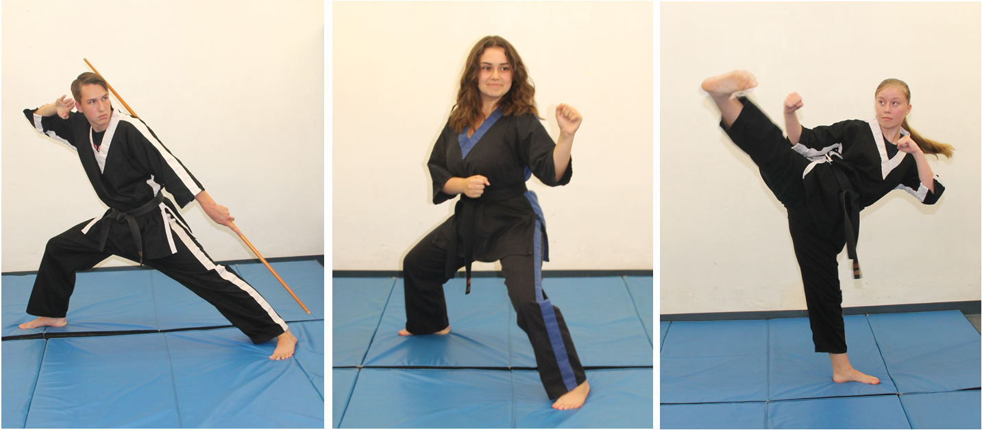 Self-Defense Using Martial Arts v. Firearms  Martial Arts Self Defense  Classes San Diego